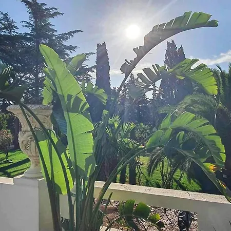 Beautiful In Saint-raphael With Kitchen *